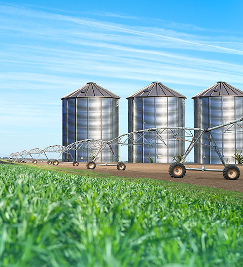 industria agroindustria 2 1 Karlen Tech